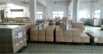 智能家居格局深度解析 Alexa与Google Assistant电源头供应商如何主导家用电器市场